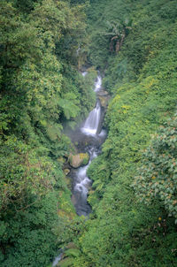 High angle view of waterfall in forest