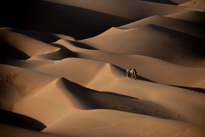 High angle view of sand dunes in desert