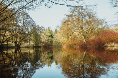Reflection of trees in lake against sky during autumn
