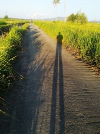 Road amidst field against sky