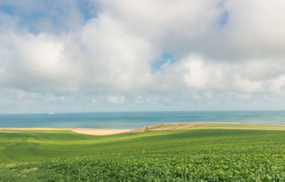 Scenic view of field against sky