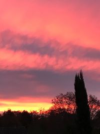 Silhouette trees against dramatic sky during sunset