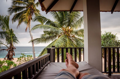 Low section of person on palm tree by sea against sky