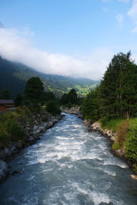 River flowing amidst trees against sky