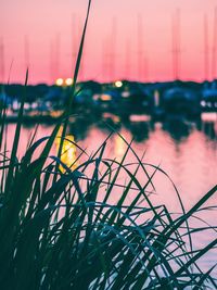 Close-up of grass by lake against sky during sunset