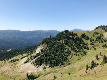 Scenic view of landscape against clear sky