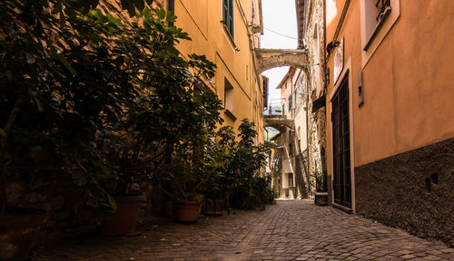 Street amidst trees and buildings against sky