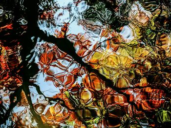 Low angle view of trees