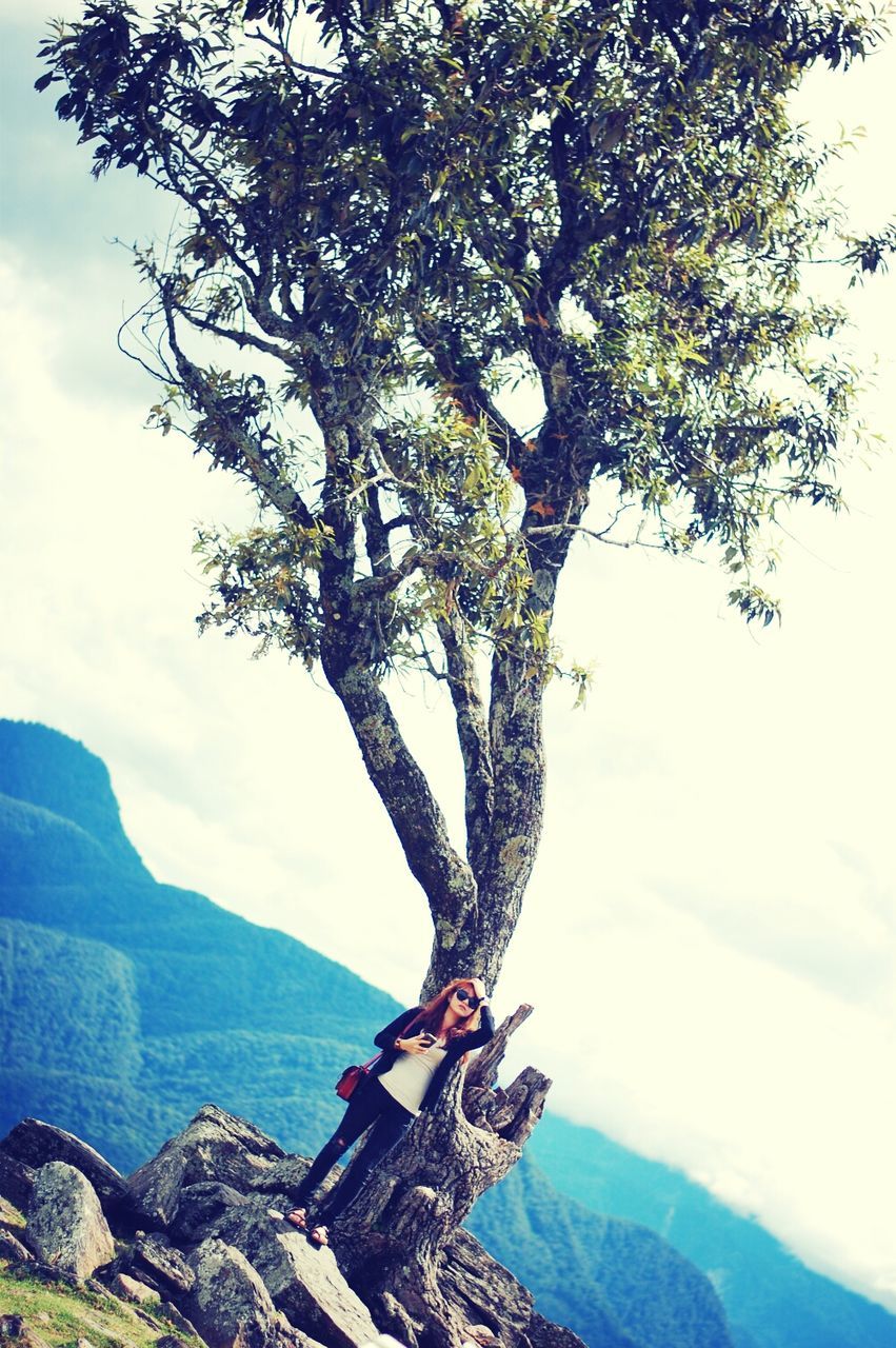 sky, tranquility, mountain, tranquil scene, tree, nature, scenics, beauty in nature, branch, landscape, tree trunk, rock - object, day, outdoors, no people, non-urban scene, mountain range, idyllic, wood - material, growth