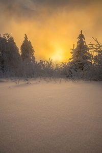 Snow covered field against sky during sunset
