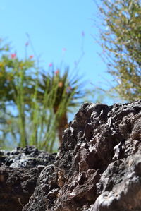 Close-up of rocks against sky