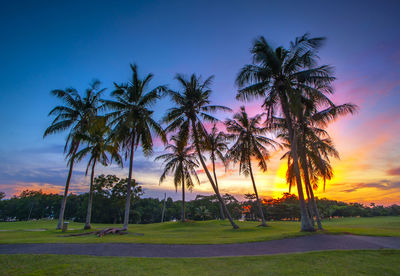 Silhouette palm trees against sky during sunset