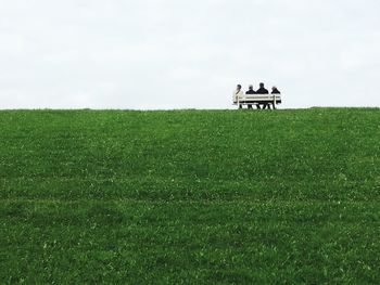 Rear view of people on field against sky