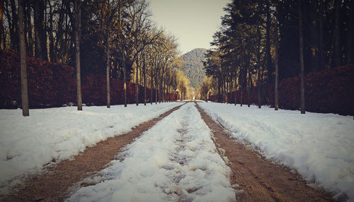 Snow covered road amidst trees against sky