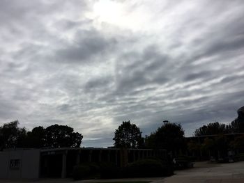 Trees in park against cloudy sky