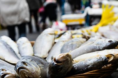 Fish for sale at market stall