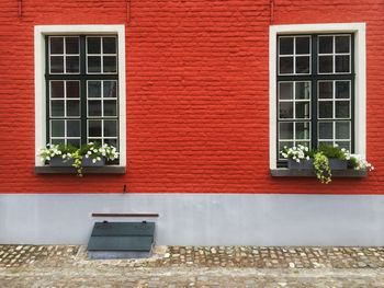 Potted plants on window sill