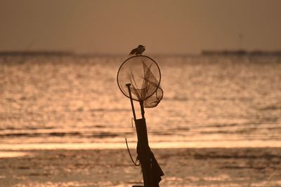 Silhouette tree on beach against sky during sunset