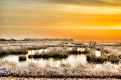 Scenic view of field against sky during sunset