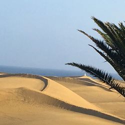 Scenic view of beach against clear sky