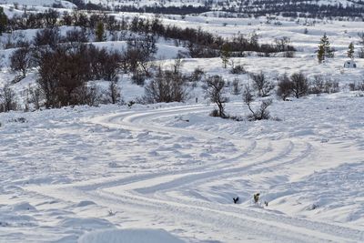 Scenic view of snow covered landscape