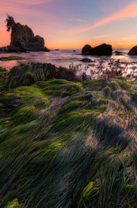 Scenic view of sea against sky at sunset