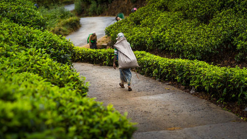 Woman walking on road in sri lanka