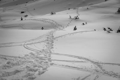 High angle view of snowcapped landscape