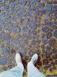 Low section of person standing on tiled floor