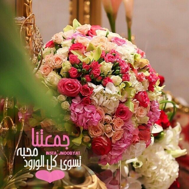 flower, focus on foreground, freshness, close-up, text, fragility, petal, selective focus, pink color, flower head, indoors, rose - flower, variation, western script, for sale, beauty in nature, no people, day, retail, plant