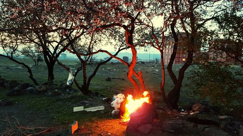 Bonfire against trees at night