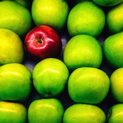 Full frame shot of apples