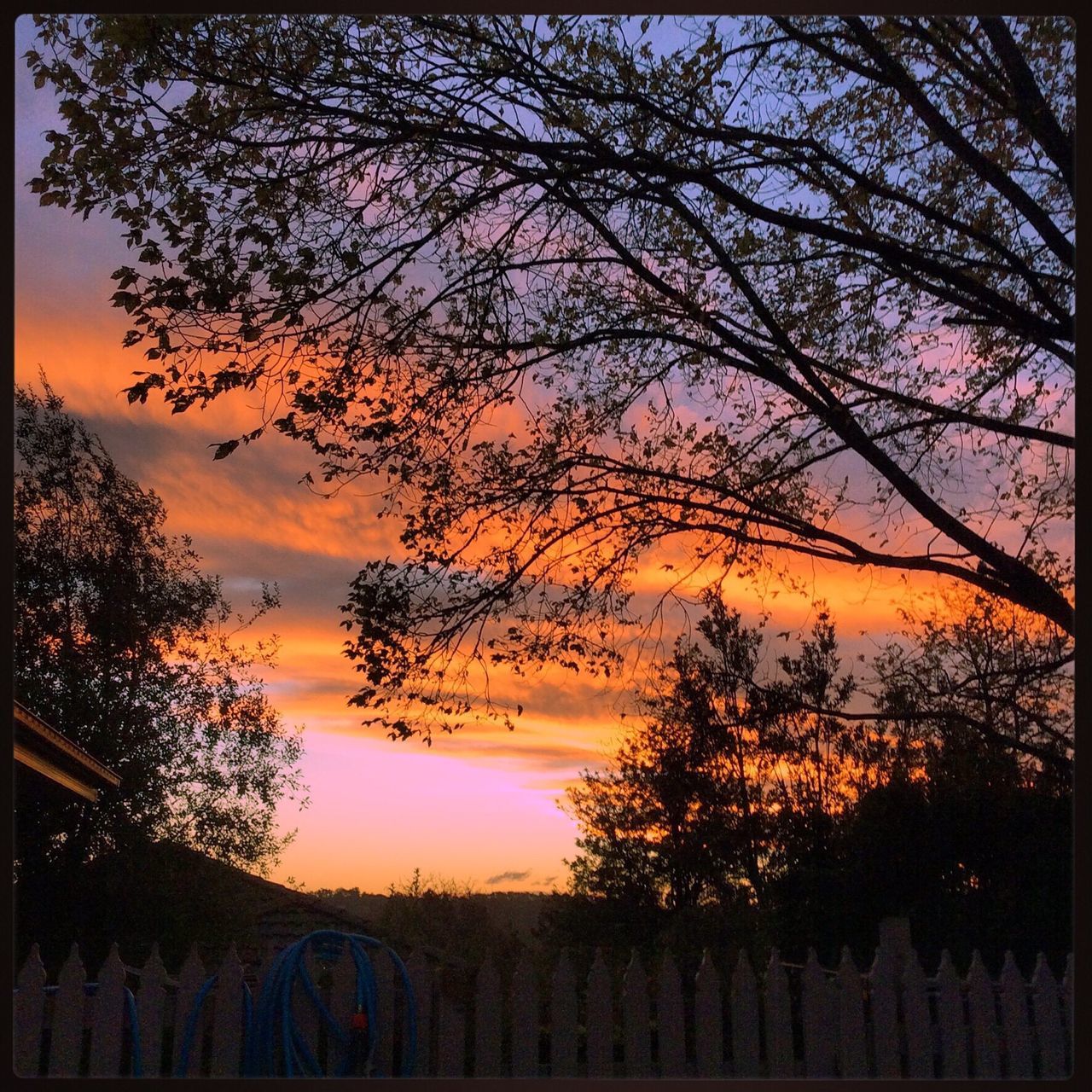 tree, transfer print, sunset, auto post production filter, silhouette, bare tree, sky, branch, tranquility, beauty in nature, scenics, nature, orange color, tranquil scene, cloud - sky, growth, outdoors, dusk, idyllic, no people