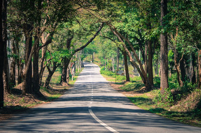 Road amidst trees in forest