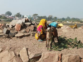Woman crouching by goats on land against clear sky