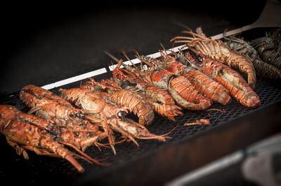 Close-up of crab on barbecue grill