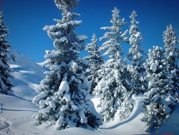 Scenic view of snow covered mountains