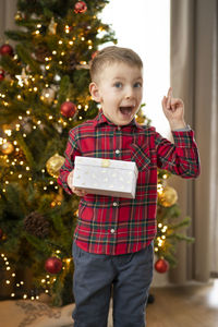 Portrait of boy holding christmas tree