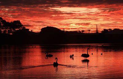 Silhouette people in lake against sky during sunset