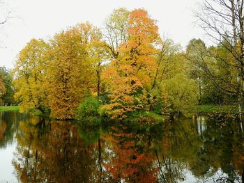 Reflection of trees in lake against sky