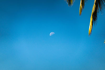 Low angle view of blue sky and moon