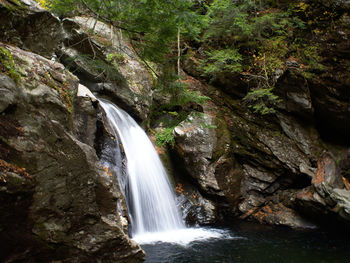 Scenic view of waterfall in forest