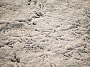 View of sandy beach