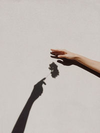 Shadow of woman hand on white background