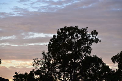 Low angle view of trees against cloudy sky