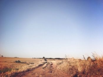 Scenic view of field against clear sky