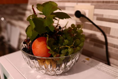 Close-up of potted plant on table