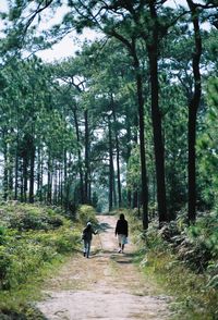 Rear view of people walking in forest