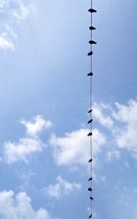 Birds sitting on rope