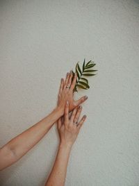 Cropped hands of woman holding leafs on wall